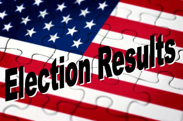 2019 Election results